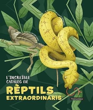 L'INCREÏBLE CATÀLEG DE RÈPTILS EXTRAORDINARIS | 9788418520341 | BANFI, CRISTINA | Llibreria Online de Banyoles | Comprar llibres en català i castellà online