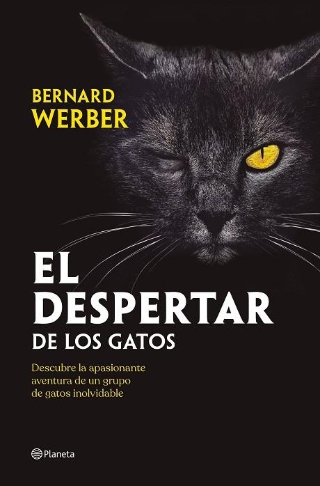 EL DESPERTAR DE LOS GATOS | 9788408251835 | WERBER, BERNARD | Llibreria L'Altell - Llibreria Online de Banyoles | Comprar llibres en català i castellà online - Llibreria de Girona