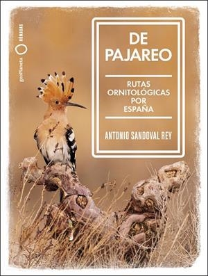 DE PAJAREO | 9788408251514 | SANDOVAL, ANTONIO | Llibreria L'Altell - Llibreria Online de Banyoles | Comprar llibres en català i castellà online - Llibreria de Girona