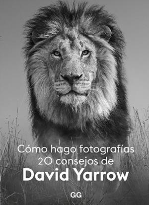 CÓMO HAGO FOTOGRAFÍAS | 9788425233265 | YARROW, DAVID | Llibreria Online de Banyoles | Comprar llibres en català i castellà online