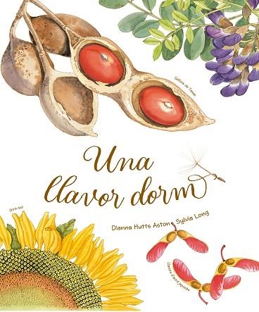 UNA LLAVOR DORM | 9788418900235 | HUTTS ASTON, DIANNA | Llibreria L'Altell - Llibreria Online de Banyoles | Comprar llibres en català i castellà online - Llibreria de Girona