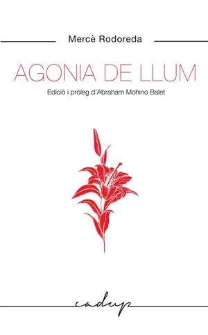 AGONIA DE LLUM | 9788412455748 | RODOREDA GURGUI, MERCÈ | Llibreria Online de Banyoles | Comprar llibres en català i castellà online