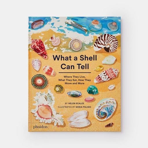 WHAT A SHELL CAN TELL | 9781838664305 | PULIDO, SONIA;SCALES, HELEN | Llibreria L'Altell - Llibreria Online de Banyoles | Comprar llibres en català i castellà online - Llibreria de Girona