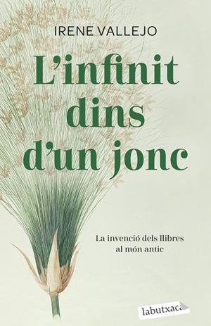 INFINIT DINS D'UN JONC, L' | 9788419107121 | VALLEJO, IRENE | Llibreria Online de Banyoles | Comprar llibres en català i castellà online