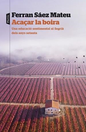 ACAÇAR LA BOIRA | 9788498095203 | SAEZ MATEU, FERRAN | Llibreria L'Altell - Llibreria Online de Banyoles | Comprar llibres en català i castellà online - Llibreria de Girona