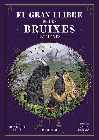 EL GRAN LLIBRE DE LES BRUIXES CATALANES | 9788418857751 | PRATS, JOAN DE DÉU/PADILLA CLIMENT, MARIA | Llibreria L'Altell - Llibreria Online de Banyoles | Comprar llibres en català i castellà online - Llibreria de Girona