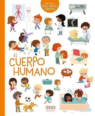 CUERPO HUMANO, EL | 9788414036945 | LEDU-FRATTINI, STÉPHANIE | Llibreria L'Altell - Llibreria Online de Banyoles | Comprar llibres en català i castellà online - Llibreria de Girona