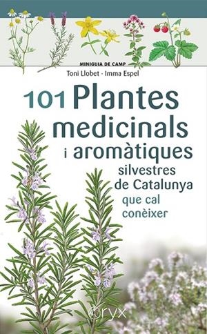 101 PLANTES MEDICINALS I AROMÀTIQUES SILVESTRES DE CATALUNYA | 9788413562209 | ESPEL, IMMA/LLOBET FRANÇOIS, TONI | Llibreria L'Altell - Llibreria Online de Banyoles | Comprar llibres en català i castellà online - Llibreria de Girona