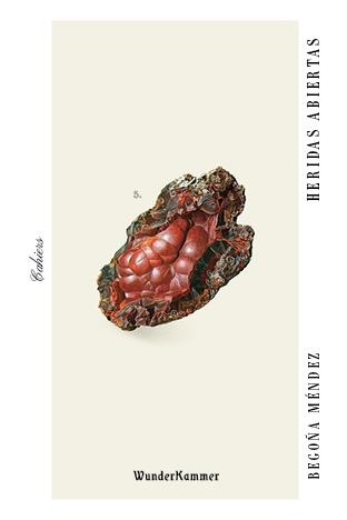 HERIDAS ABIERTAS | 9788494972591 | MÉNDEZ, BEGOÑA | Llibreria L'Altell - Llibreria Online de Banyoles | Comprar llibres en català i castellà online - Llibreria de Girona