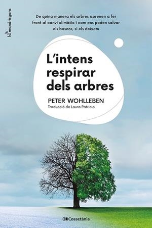 L'INTENS RESPIRAR DELS ARBRES | 9788413562087 | WOHLLEBEN, PETER | Llibreria L'Altell - Llibreria Online de Banyoles | Comprar llibres en català i castellà online - Llibreria de Girona