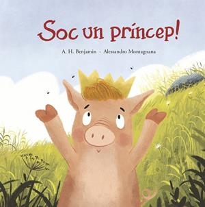 SOC UN PRÍNCEP! | 9788419253484 | BENJAMIN, A.H. | Llibreria Online de Banyoles | Comprar llibres en català i castellà online