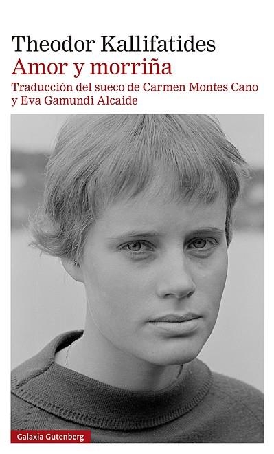 AMOR Y MORRIÑA | 9788419075536 | KALLIFATIDES, THEODOR | Llibreria L'Altell - Llibreria Online de Banyoles | Comprar llibres en català i castellà online - Llibreria de Girona