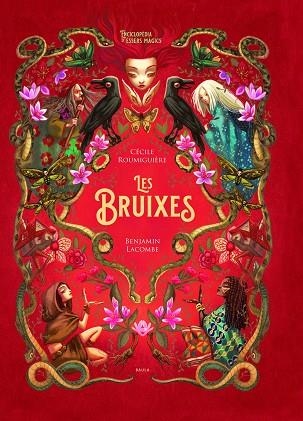 LES BRUIXES | 9788447948987 | ROUMIGUIÈRE, CÉCILE | Llibreria L'Altell - Llibreria Online de Banyoles | Comprar llibres en català i castellà online - Llibreria de Girona