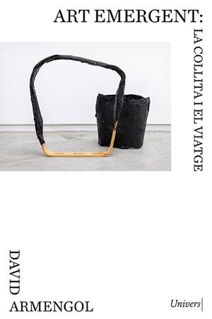 ART EMERGENT: LA COLLITA I EL VIATGE | 9788418375811 | ARMENGOL, DAVID | Llibreria Online de Banyoles | Comprar llibres en català i castellà online