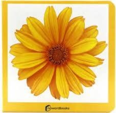 AMARILLO | 9788412534429 | Llibreria L'Altell - Llibreria Online de Banyoles | Comprar llibres en català i castellà online - Llibreria de Girona