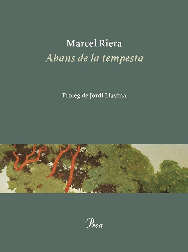 ABANS DE LA TEMPESTA | 9788475889900 | RIERA BOU, MARCEL | Llibreria L'Altell - Llibreria Online de Banyoles | Comprar llibres en català i castellà online - Llibreria de Girona
