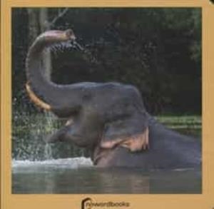 LOS ANIMALES SALVAJES | 9788494295614 | AV | Llibreria L'Altell - Llibreria Online de Banyoles | Comprar llibres en català i castellà online - Llibreria de Girona
