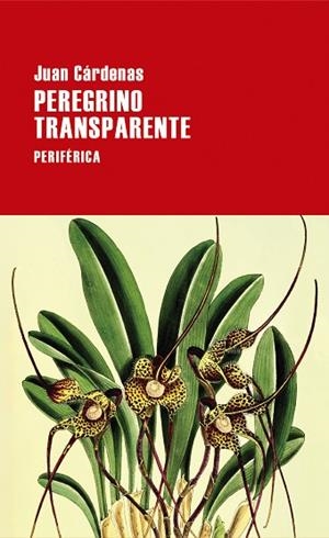 PEREGRINO TRANSPARENTE | 9788418838620 | CÁRDENAS, JUAN | Llibreria Online de Banyoles | Comprar llibres en català i castellà online