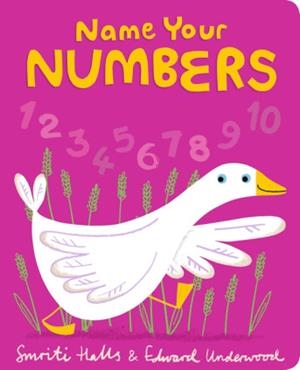 NAME YOUR NUMBERS | 9781406387827 | HALLS, SMIRI | Llibreria Online de Banyoles | Comprar llibres en català i castellà online
