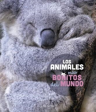 ANIMALES MÁS BONITOS DEL MUNDO, LOS | 9788419436177 | LEDU, STÉPHANIE | Llibreria L'Altell - Llibreria Online de Banyoles | Comprar llibres en català i castellà online - Llibreria de Girona
