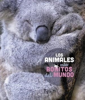 ANIMALES MÁS BONITOS DEL MUNDO, LOS | 9788419436177 | LEDU, STÉPHANIE | Llibreria L'Altell - Llibreria Online de Banyoles | Comprar llibres en català i castellà online - Llibreria de Girona
