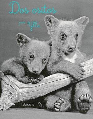 DOS OSITOS | 9788413431161 | YLLA | Llibreria Online de Banyoles | Comprar llibres en català i castellà online