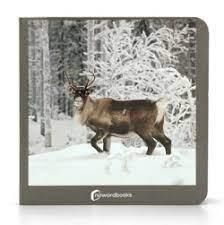 ANIMALES POLARES | 9788412534474 | Llibreria Online de Banyoles | Comprar llibres en català i castellà online