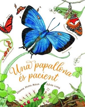 UNA PAPALLONA ÉS PACIENT | 9788418900471 | HUTTS ASTON, DIANNA | Llibreria L'Altell - Llibreria Online de Banyoles | Comprar llibres en català i castellà online - Llibreria de Girona