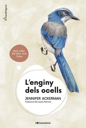ENGINY DELS OCELLS, L' | 9788413562544 | ACKERMAN, JENNIFER | Llibreria L'Altell - Llibreria Online de Banyoles | Comprar llibres en català i castellà online - Llibreria de Girona