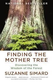 FINDING THE MOTHER TREE | 9780525565994 | SIMARD, SUZANNE | Llibreria L'Altell - Llibreria Online de Banyoles | Comprar llibres en català i castellà online - Llibreria de Girona