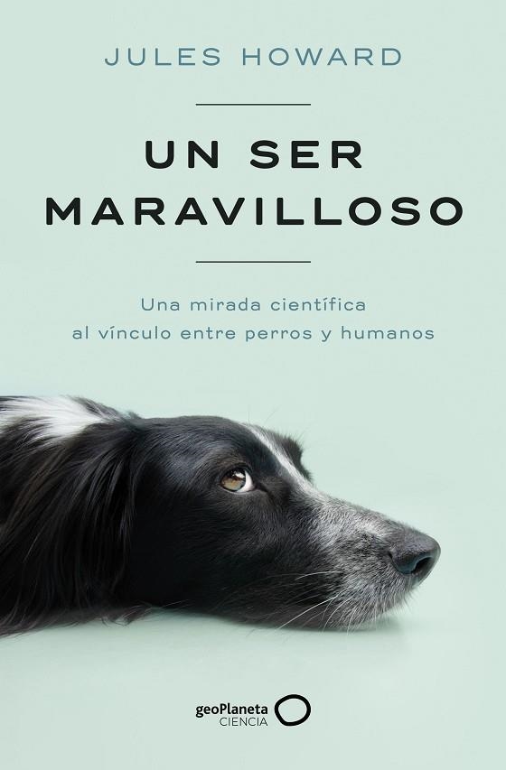 SER MARAVILLOSO, UN | 9788408269328 | HOWARD, JULES | Llibreria L'Altell - Llibreria Online de Banyoles | Comprar llibres en català i castellà online - Llibreria de Girona