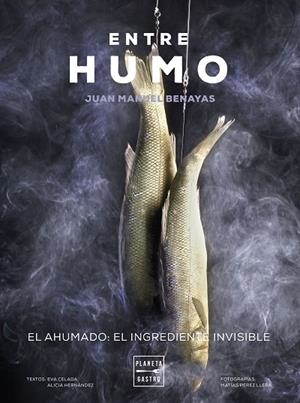 ENTRE HUMO | 9788408271048 | BENAYAS, JUAN MANUEL | Llibreria L'Altell - Llibreria Online de Banyoles | Comprar llibres en català i castellà online - Llibreria de Girona