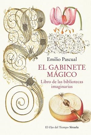 EL GABINETE MÁGICO | 9788419553041 | PASCUAL, EMILIO | Llibreria L'Altell - Llibreria Online de Banyoles | Comprar llibres en català i castellà online - Llibreria de Girona