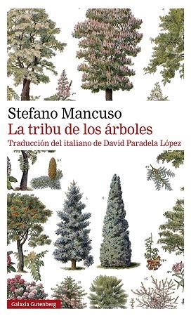 LA TRIBU DE LOS ÁRBOLES | 9788419392510 | MANCUSO, STEFANO | Llibreria Online de Banyoles | Comprar llibres en català i castellà online