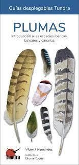 PLUMAS. INTRODUCCION A LAS ESPECIES IBERICAS, BALEARES Y CANARIAS | 9788418458057 | HERNANDEZ, VICTOR J. | Llibreria Online de Banyoles | Comprar llibres en català i castellà online