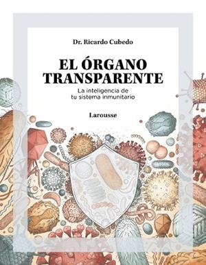 EL ÓRGANO TRANSPARENTE. LA INTELIGENCIA DE TU SISTEMA INMUNITARIO | 9788419250506 | CUBEDO, DR. RICARDO | Llibreria Online de Banyoles | Comprar llibres en català i castellà online