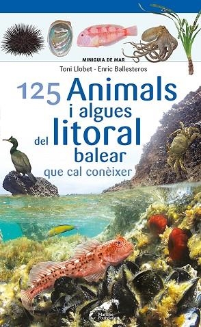 125 ANIMALS I ALGUES DEL LITORAL BALEAR QUE CAL CONÈIXER | 9788413562704 | BALLESTEROS SAGARRA, ENRIC | Llibreria L'Altell - Llibreria Online de Banyoles | Comprar llibres en català i castellà online - Llibreria de Girona