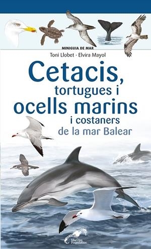 CETACIS, TORTUGUES I OCELLS MARINS I COSTANERS DE LA MAR BALEAR | 9788413562735 | MAYOL, ELVIRA | Llibreria L'Altell - Llibreria Online de Banyoles | Comprar llibres en català i castellà online - Llibreria de Girona