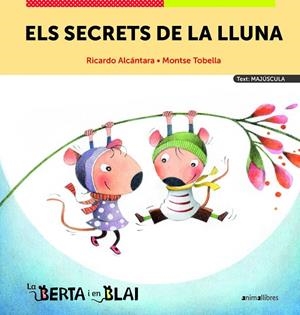 ELS SECRETS DE LA LLUNA | 9788419659187 | RICARDO ALCÁNTARA | Llibreria L'Altell - Llibreria Online de Banyoles | Comprar llibres en català i castellà online - Llibreria de Girona