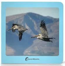 AVES 48 | 9788412534498 | Llibreria Online de Banyoles | Comprar llibres en català i castellà online