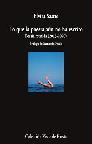 LO QUE LA POESÍA AÚN NO HA ESCRITO | 9788498954920 | SASTRE, ELVIRA | Llibreria Online de Banyoles | Comprar llibres en català i castellà online