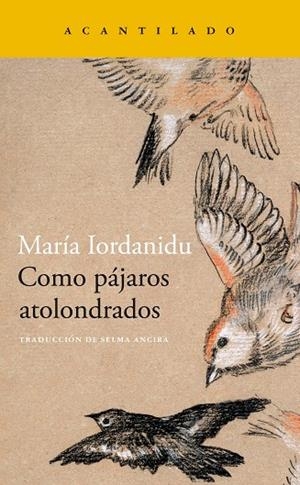 COMO PÁJAROS ATOLONDRADOS | 9788419036704 | IORDANIDU, MARIA | Llibreria Online de Banyoles | Comprar llibres en català i castellà online