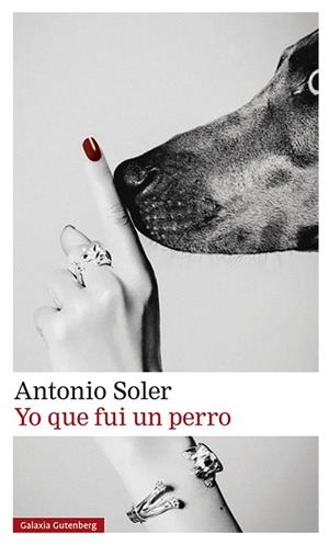YO QUE FUI UN PERRO | 9788419738011 | SOLER, ANTONIO | Llibreria L'Altell - Llibreria Online de Banyoles | Comprar llibres en català i castellà online - Llibreria de Girona
