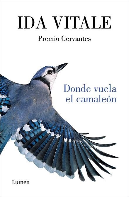 DONDE VUELA EL CAMALEÓN | 9788426416926 | VITALE, IDA | Llibreria L'Altell - Llibreria Online de Banyoles | Comprar llibres en català i castellà online - Llibreria de Girona