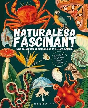 NATURALESA FASCINANT | 9788419095596 | MOSQUITO BOOKS | Llibreria Online de Banyoles | Comprar llibres en català i castellà online