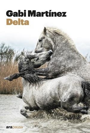 DELTA | 9788411730068 | MARTÍNEZ CENDRERO, GABRIEL | Llibreria Online de Banyoles | Comprar llibres en català i castellà online