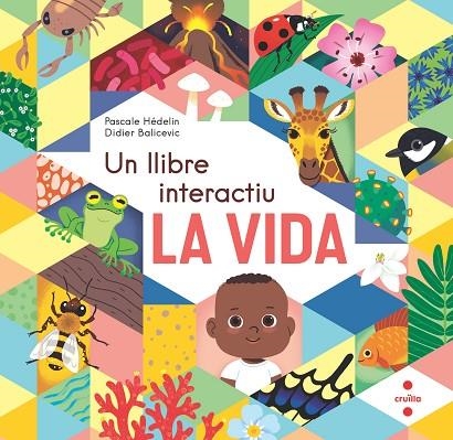 VIDA. UN LLIBRE INTERACTIU, LA | 9788466154864 | HÉDELIN, PASCALE | Llibreria L'Altell - Llibreria Online de Banyoles | Comprar llibres en català i castellà online - Llibreria de Girona