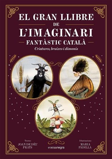 EL GRAN LLIBRE DE L'IMAGINARI FANTÀSTIC CATALÀ | 9788419590558 | PRATS, JOAN DE DÉU/PADILLA, MARIA | Llibreria Online de Banyoles | Comprar llibres en català i castellà online