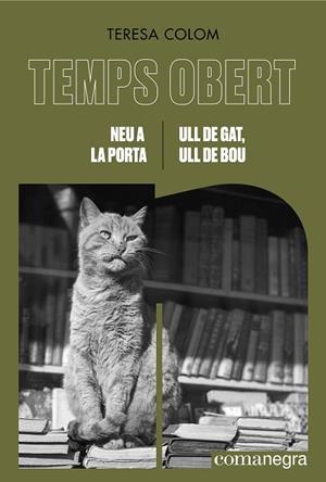 NEU A LA PORTA / ULL DE GAT, ULL DE BOU | 9788419590855 | COLOM, TERESA | Llibreria Online de Banyoles | Comprar llibres en català i castellà online