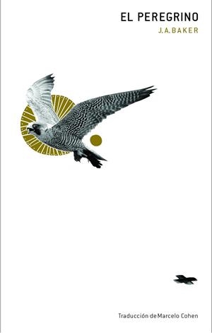 EL PEREGRINO | 9788412816020 | BAKER, J.A. | Llibreria Online de Banyoles | Comprar llibres en català i castellà online